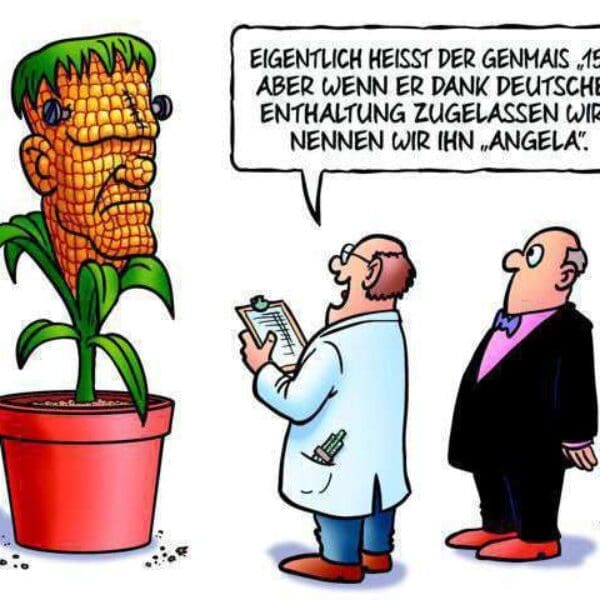 OXMOX wünscht ein schönes Wochenende!