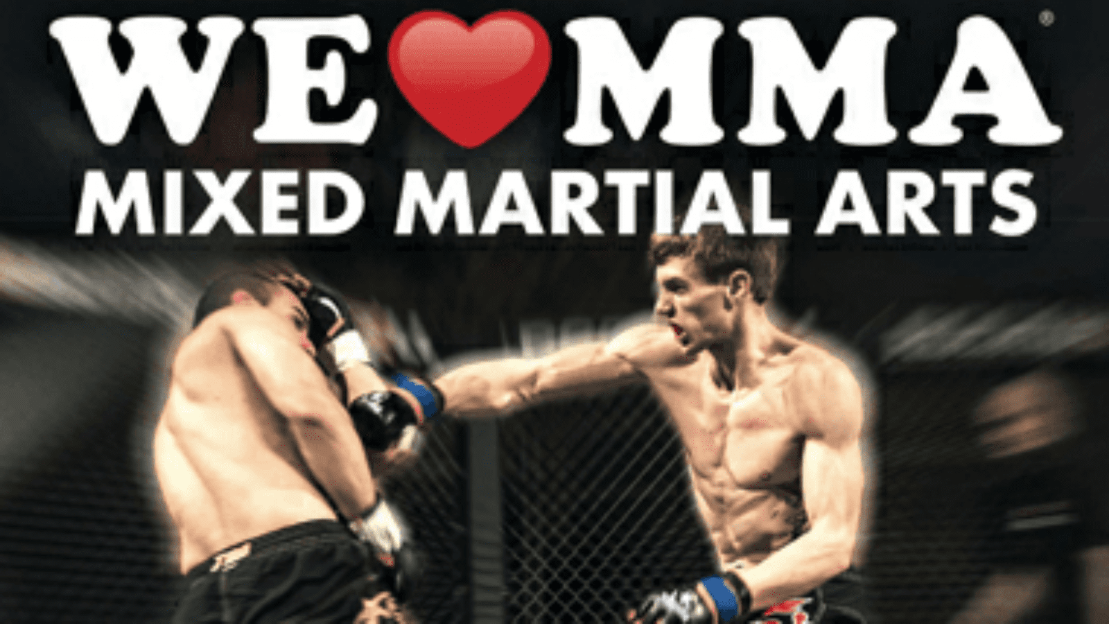 Gewinnspiel: We Love MMA in der o2 World (27.09.2014)