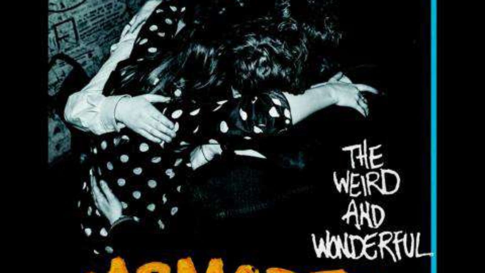 MARMOZETS – The Weird And Wonderful Marmozets