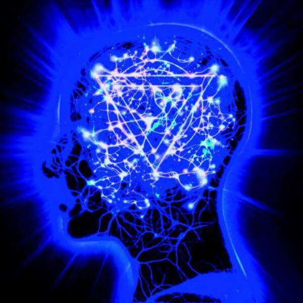 ENTER SHIKARI The Mindsweep