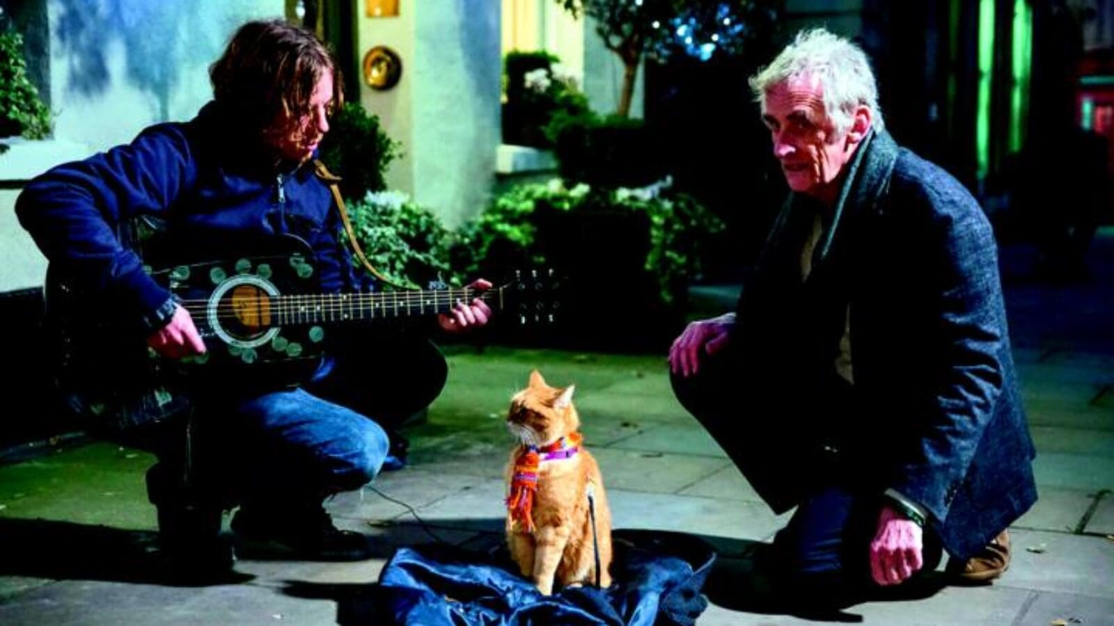 OXMOX Film-Tipp: Bob, der Streuner