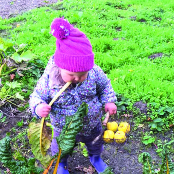 Hamburgs erste Stadtfarm