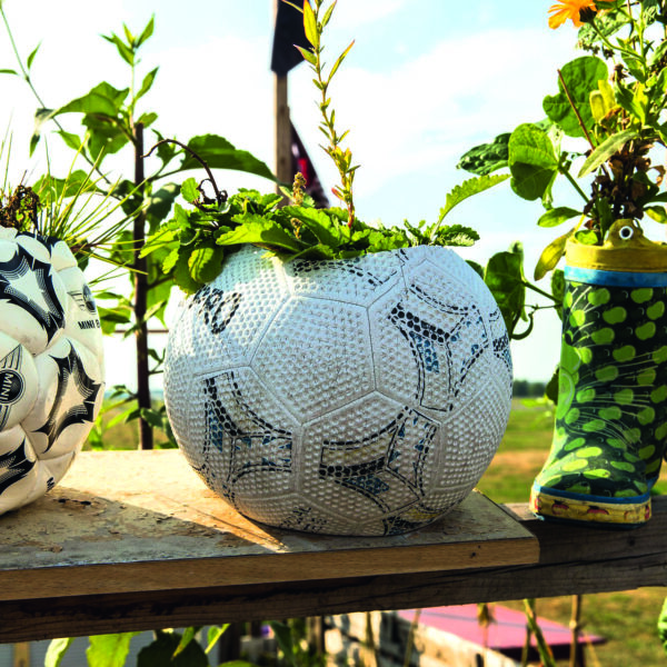 Guerilla-Gardening – Gärtnern in der Stadt