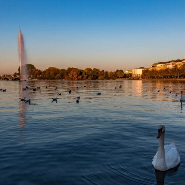 Alstervergnügen 2019 fällt aus