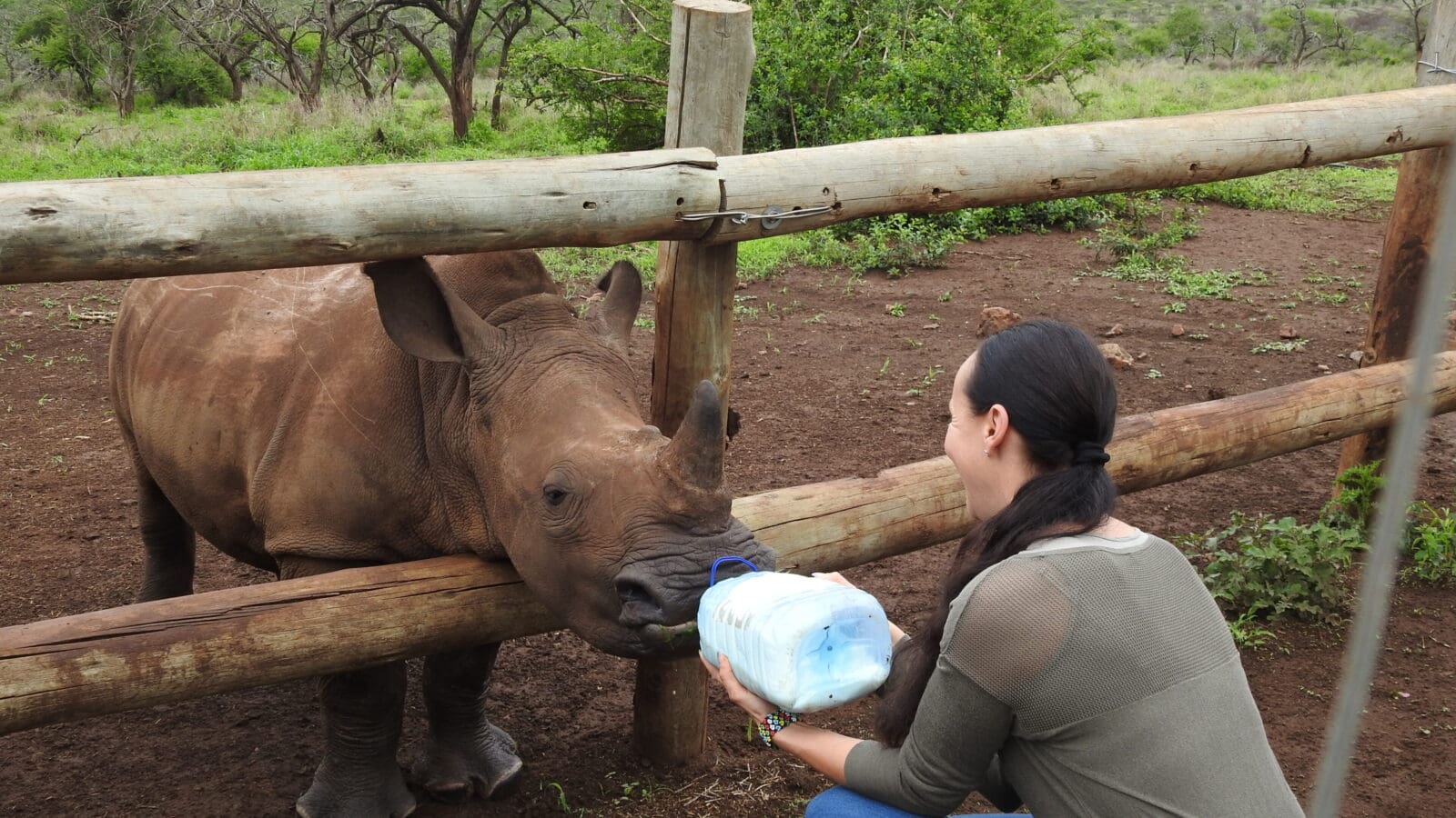 Circus Krone besucht Nashorn-Babys