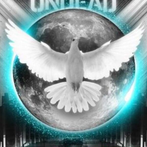 Auf die Ohren: Hollywood Undead, Nada Surf