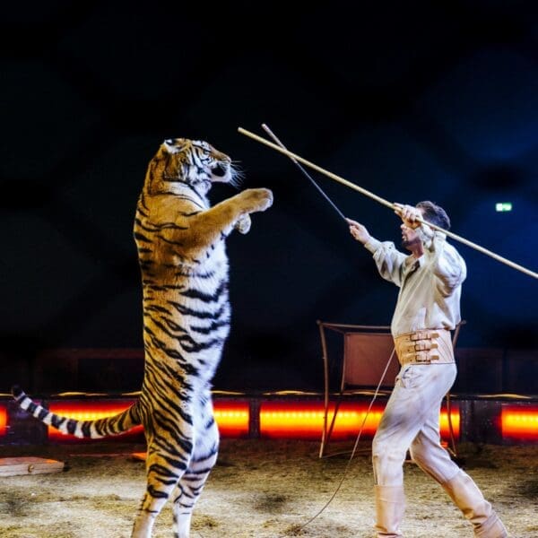 Woran erkenne ich ein glückliches Tier? *Circus Krone*