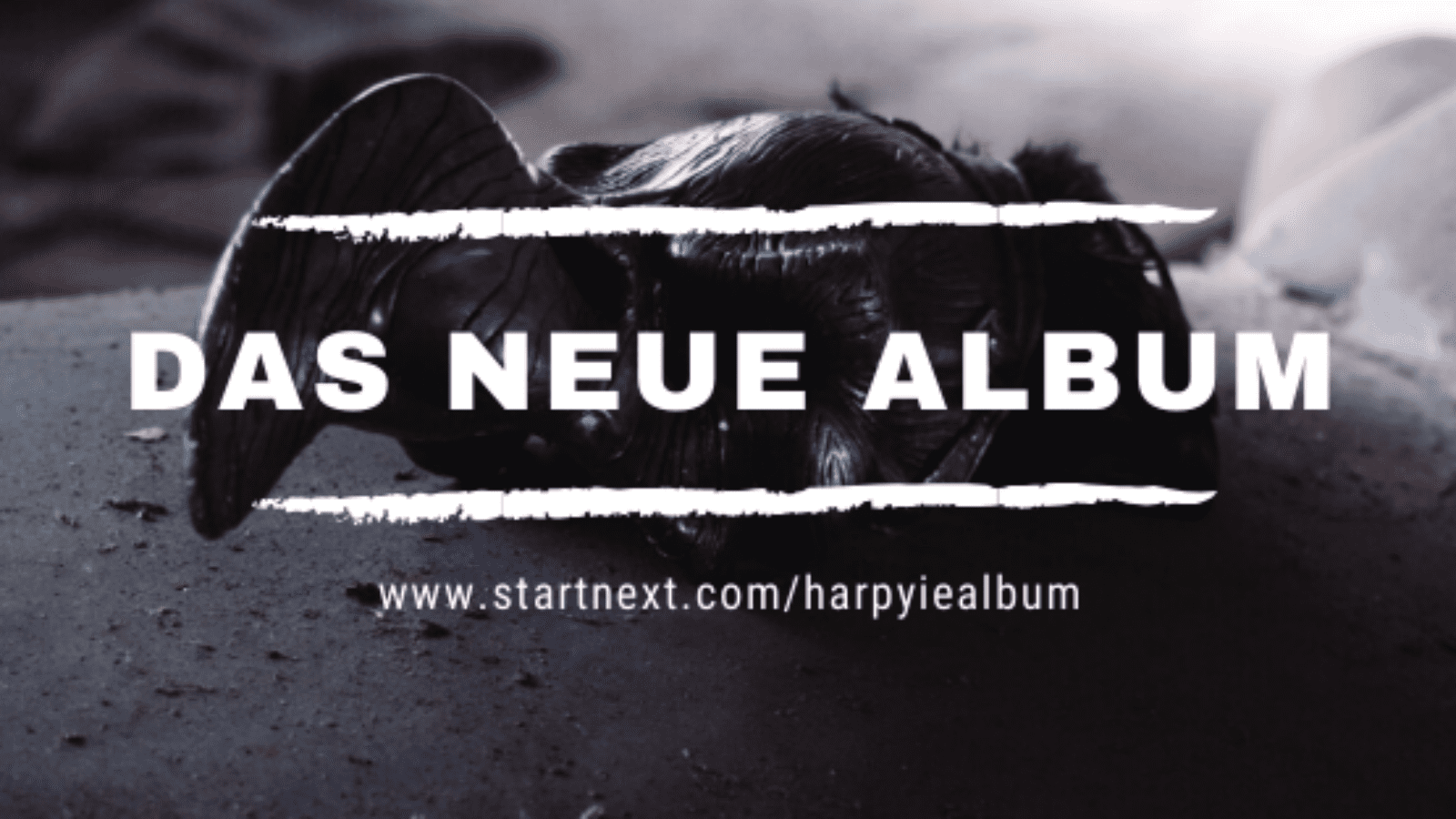 HARPYIE – Folk-Metal aus Ostwestfalen (jetzt bei StartNext)