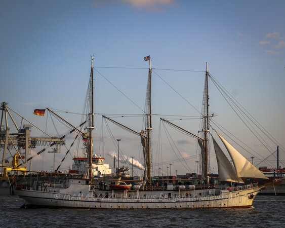 Die Peking (ein Viermaster) ist wieder in Hamburg