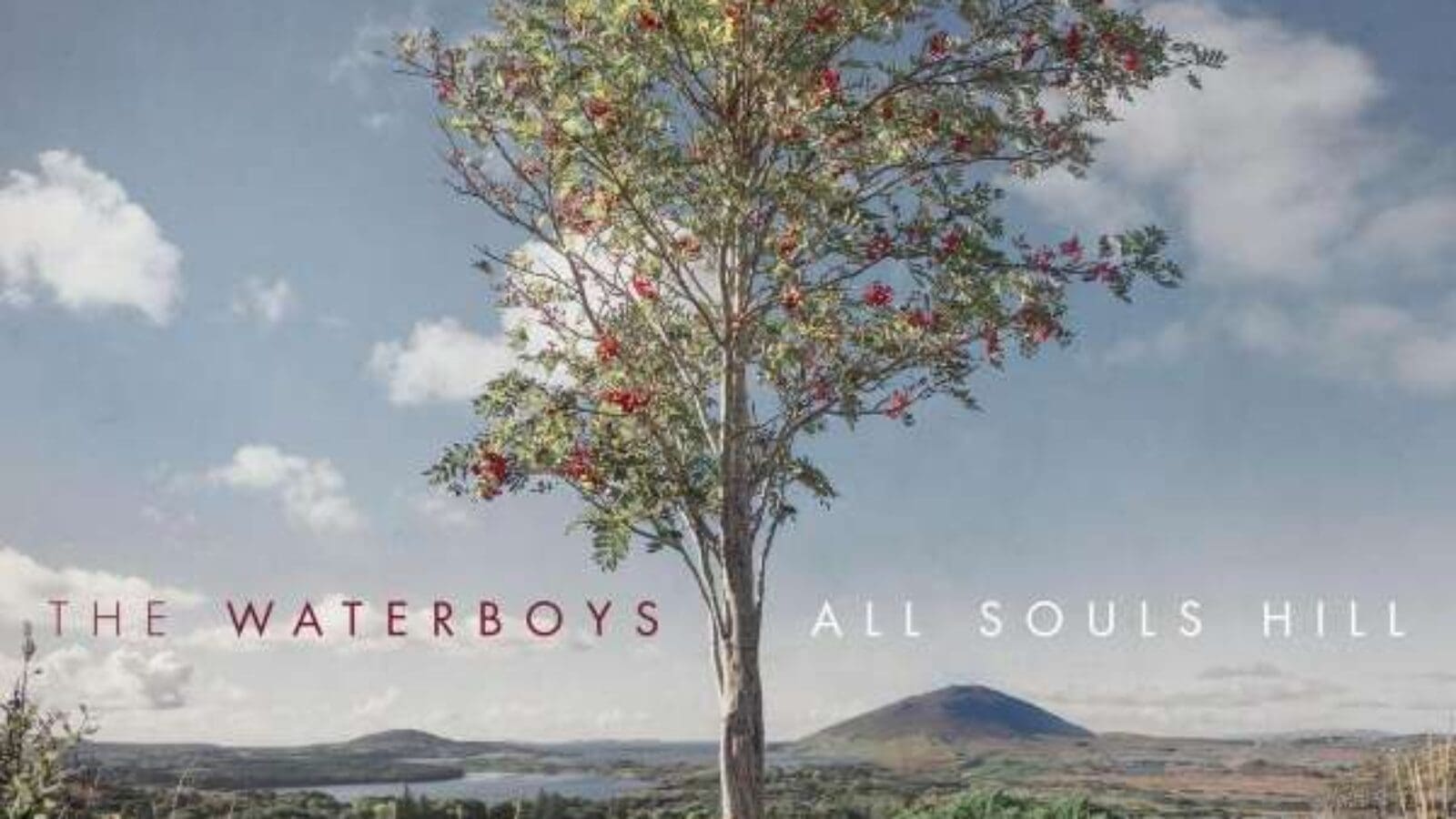 Platte des Monats: Top 8 – The Waterboys