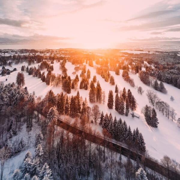 Feiertage im Winter: Wie man die kalte Jahreszeit mit besonderen Aktivitäten verschönern kann